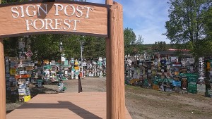Signpost Forest