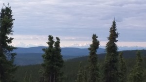 Denali in the distance