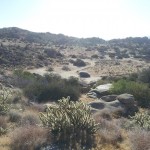 20130409_083215